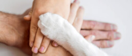 Menschen und Katze legen Hände und Pfoten aufeinander